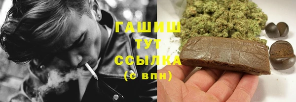 стафф Ельня