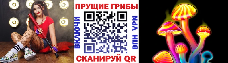 Галлюциногенные грибы Cubensis  купить закладку  Болхов 